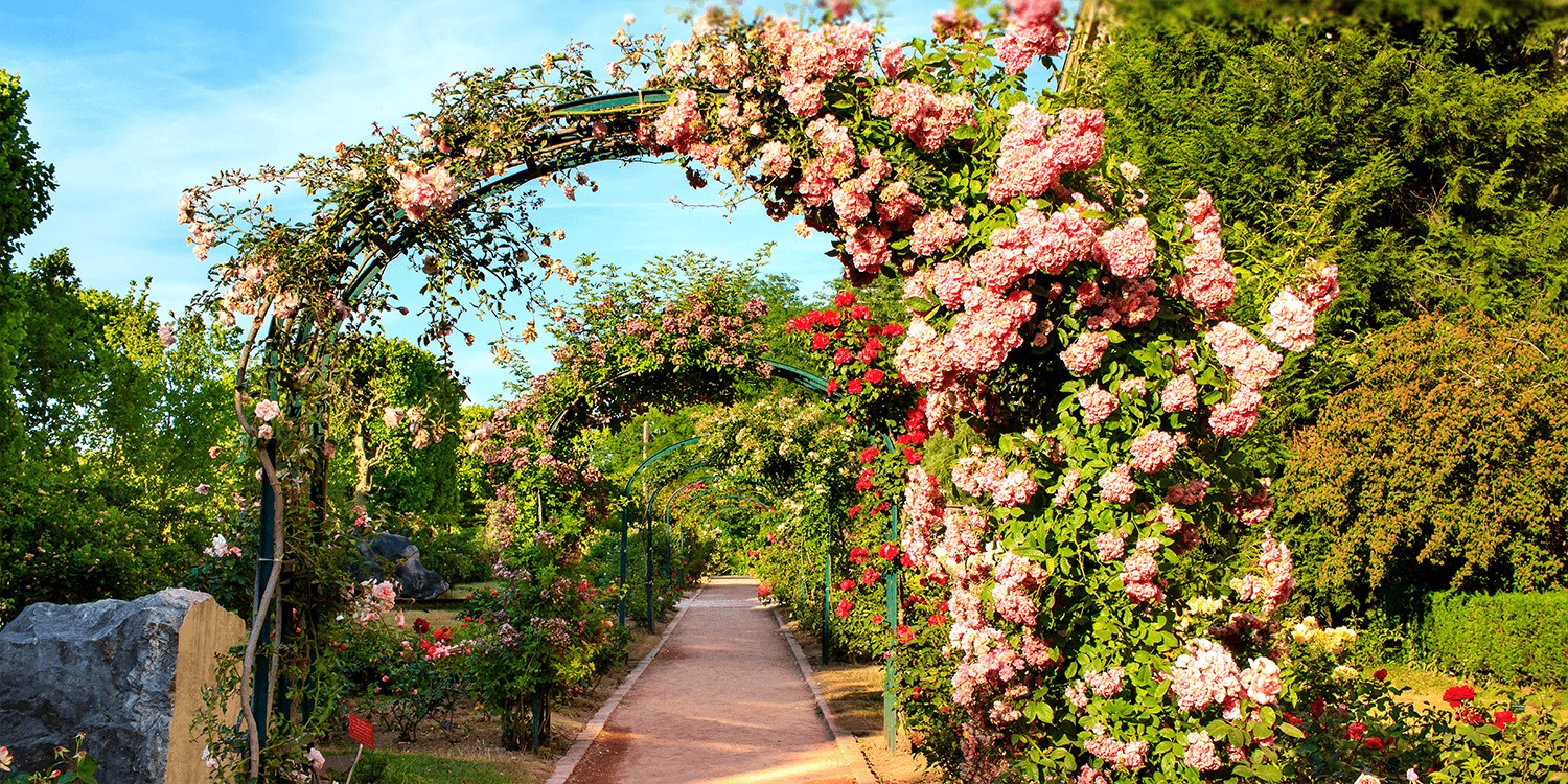 Le Jardin des Plantes à Paris, à 20 minutes de l'Hôtel Gramont